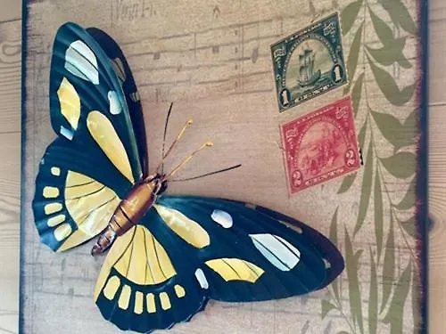 Ecogite Les Papillons Des Sucs Saint-Maurice-de-Lignon
